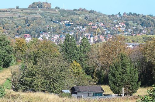 Gegen die unzulässige Errichtung von   Hütten wie diese auf dem Mietersheimer Berg möchte die Stadt künftig verstärkt vorgehen. Foto: Schabel