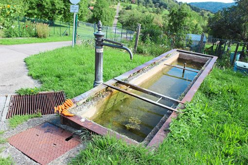 Seit 2015 ist der Holderbrunnen wieder in Betrieb, nachdem die lange verschüttete Brunnenstube freigelegt und erneuert worden war.Fotos: Schnurr Foto: Schwarzwälder Bote