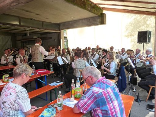 Der Schenkenzeller Musikverein unter der Leitung von Sascha Jager sorgt für Stimmung beim Sommerfest in Schiltach.  Foto: Harter Foto: Schwarzwälder Bote