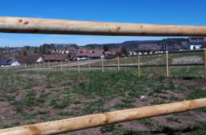 Der neu aufgestellte Holzzaun – der auf den ersten Blick nicht wie ein Provisorium aussieht –­ umringt das Baugebiet Brunnenäcker in Göllsdorf. Foto: Wolf