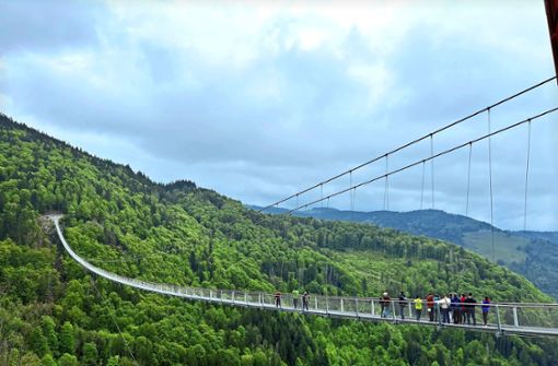 Die neue „Blackforestline“ in Todtnau ist 70 Meter länger als die Bad Wildbader Hängebrücke. Foto: Sabine Zoller