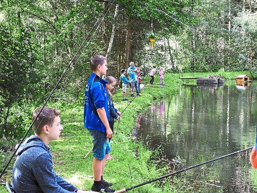 Zahlreiche Kinder zeigten am Ufer des Teinachtalsees beim Angeln mit den Fischerfreunden Teinachtal Geduld. Foto: Stocker Foto: Schwarzwälder-Bote