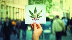 Fachstelle Sucht in Villingen spricht über Legalisierung von Cannabis