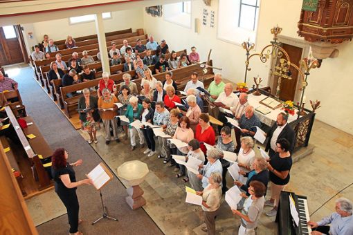 Der ökumenische  Chor gestaltete den Gottesdienst mit. Foto: Bieberstei n Foto: Schwarzwälder Bote
