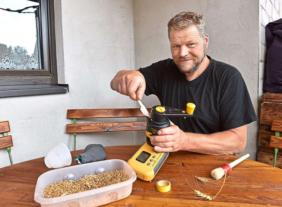 Allzu häufig muss der Biolandwirt Christoph Meyer aus Aufen die Getreidefeuchtigkeit seines Korns prüfen. Foto: Sigwart