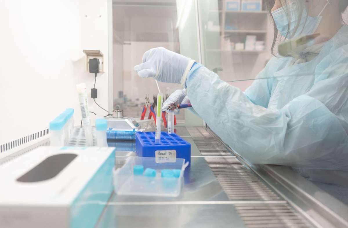 Eine Labormitarbeiterin bereitet Proben für einen PCR-Test vor. Foto: dpa/Sebastian Gollnow