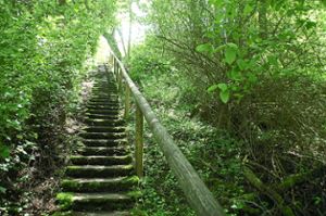 Von der Pfingsthalde führt diese sanierungsbedürftige Treppe zum Rote-Halde-Weg. Foto: Hertle Foto: Schwarzwälder Bote