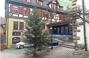 Hat die meisten Facebook-Nutzer zufrieden gestellt: Der neue, ausgetauschte Weihnachtbaum in der Hirschgasse. Foto: Becker