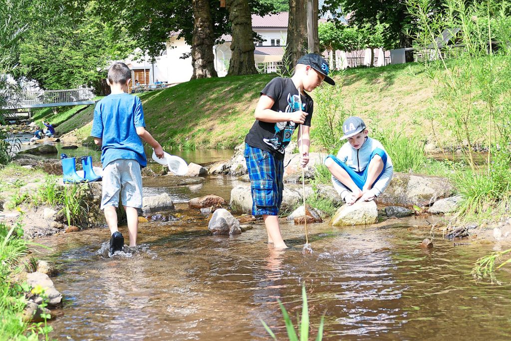 Mit Eifer und Elan waren am vergangenen Freitag 31  Schüler der Klassen 3a und 3b von der Falkensteinschule  an der Alb unterwegs, um mit dem Gewässerschutzbeauftragten der IG Gartenschau die Qualität des Herrenalber Wassers zu untersuchen.