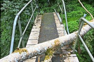 Bäume stürzten auf die Brücke, den Zugang zum Haagwald bei Haigerloch. Foto: Winkler