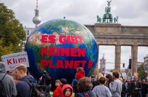 Aktivisten von Fridays for Future dürften sich über das Urteil freuen. (Archivbild) Foto: dpa/Jens Büttner