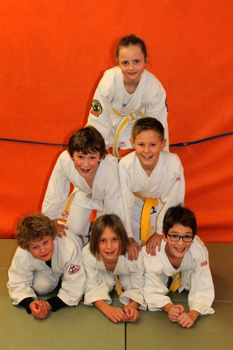 Mit guten Leistungen bei der Prüfung erwerben Nachwuchs-Judokas eine neue Gürtelfarbe. Foto: Judo-Club Foto: Schwarzwälder-Bote