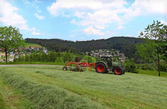 Landwirtschaft in Triberg: Deshalb laufen Bauern  mit dem Wetter um die Wette
