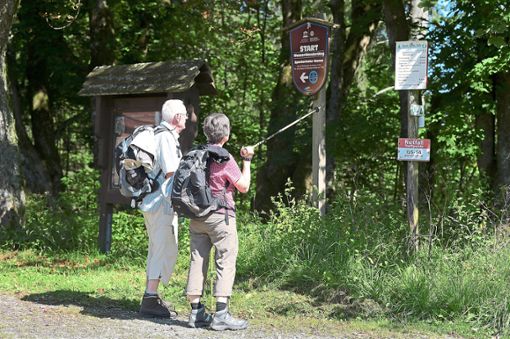 Viele Wanderungen gehören zum Jahresprogramm des Schwarzwaldvereins Neukirch. Foto: Pförtner Foto: Schwarzwälder Bote
