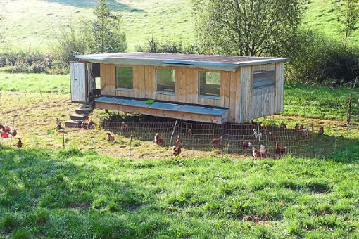Sein grünes Licht für den Bauantrag eines  Hühnermobil mit rund 250 Hühnern gibt der Uracher Ortschaftsrat.   Foto: Ketterer Foto: Schwarzwälder Bote