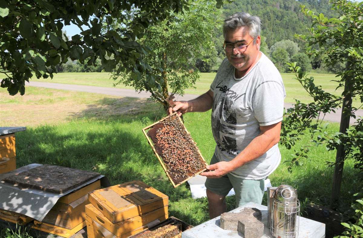Gerhard Heizmann hält eine Bienenwabe am Neckartalradweg in der Hand.