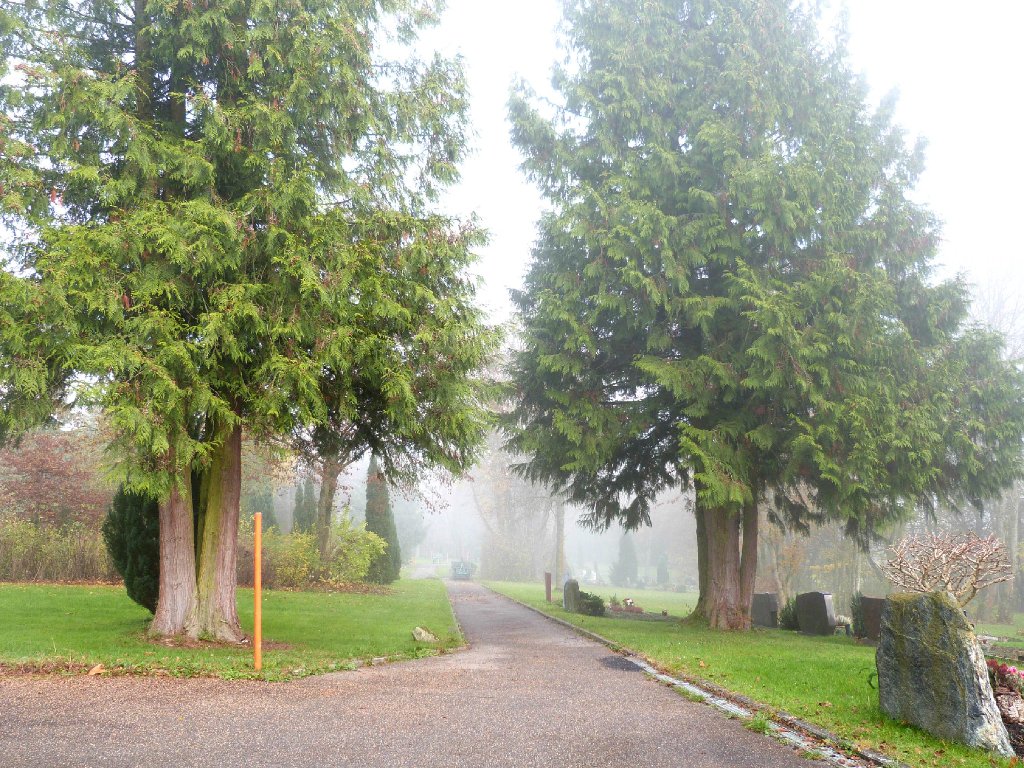 Auf dem Lindenhofer Friedhof könnte das muslimische Grabfeld angelegt werden.. Foto: Zeger