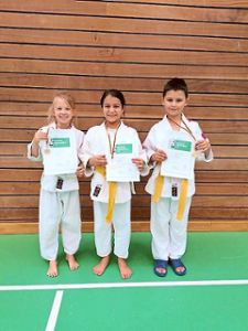 Drei Goldmedaillen holte der  Nachwuchs  bei den Kreismeisterschaften für den Judo-Club Blumberg. Foto: Judo-Club Foto: Schwarzwälder Bote