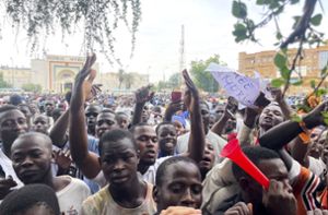 Demonstration im Niger. Foto: dpa/Sam Mednick