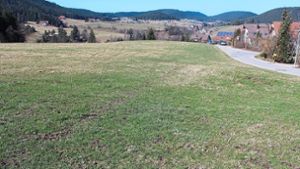 Bauherren können sich auf Ausblick Richtung Sulzbach freuen