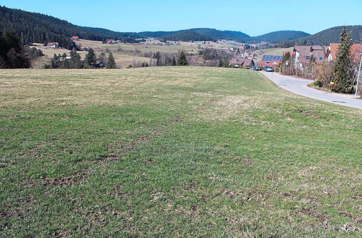 Die Aussicht Richtung Sulzbach kann sich sehen lassen. Foto: Broghammer