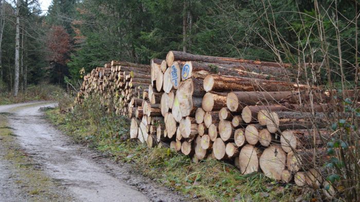 Gemeindekasse soll nach Durststrecke wieder vom Holz profitieren