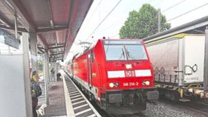Orschweier fürchtet, dass durch den geplanten Ausbau der Rheintalbahn, hier der Bahnhof Lahr, auf die Gemeinde mehr Lärm und hohe Kosten zukommen. Foto: Braun
