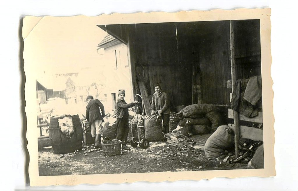 Historische Aufnahme aus den Anfangszeiten der Dürrschen Mosterei in Martinsmoos.  Archivfoto: Dürr