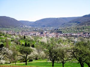 1,5 Millionen Obstbäume bilden im Herzen Baden-Württembergs die größte Streuobstlandschaft Mitteleuropas.  Foto: Streuobstparadies Foto: Schwarzwälder-Bote