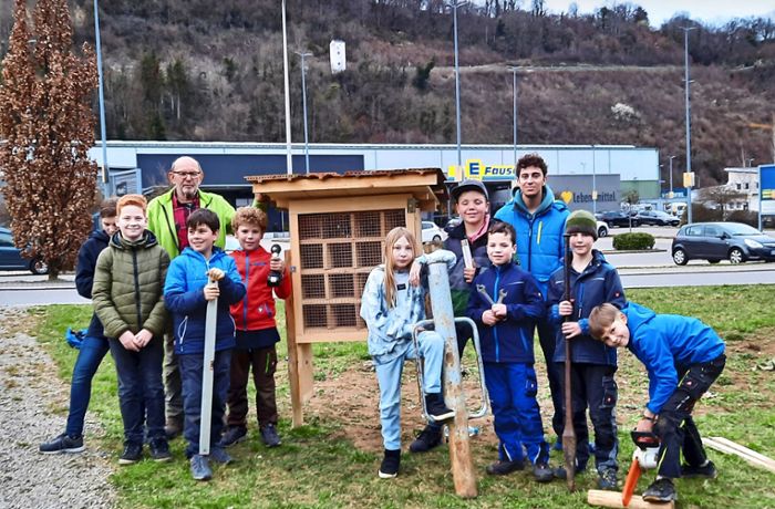Wildbienenhaus in Sulz: Nistplatz für Insekten aufgestellt