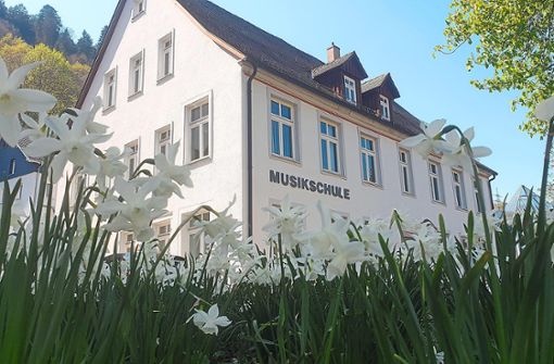 Inzwischen sieht die Situation bei der Musikschule Schramberg wieder fröhlicher aus. Foto: Riesterer