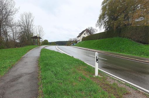 Die Trasse wird in Richtung Mariazell linksseitig der Kreisstraße verlaufen – wie abgebildet kurz vor der Bushaltestelle Deisenhof/Paradies. Foto: Riesterer