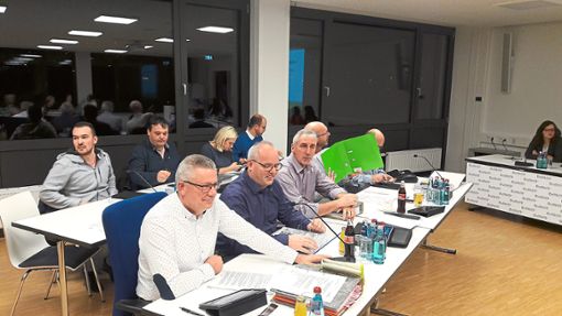 Der Blumberger Gemeinderat bearbeitet den umfangreichen Haushaltsentwurf. Das Bild zeigt die CDU-Fraktion. Foto: Lutz Foto: Schwarzwälder Bote