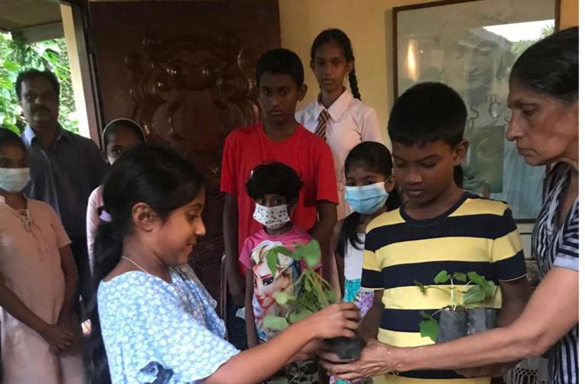 Kinder freuen sich über die Gemüsepflanzen, die vom Bündnis für Sri Lanka an bedürftige Familien verteilt wurden. Foto: Gomes