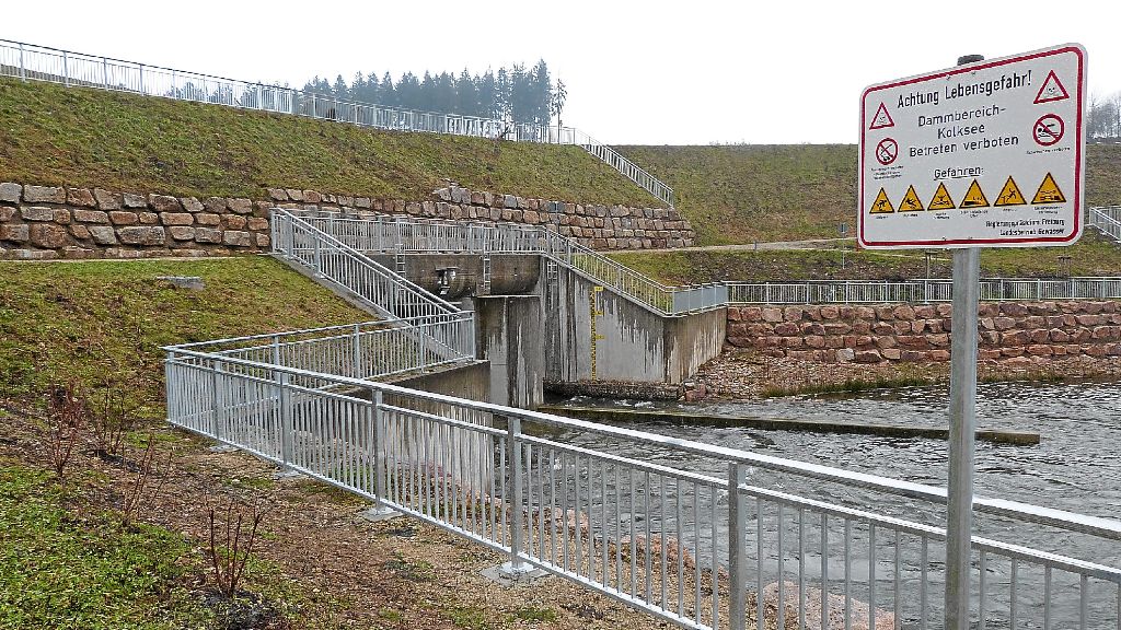 Die Fertigstellung des Hochwasserrückhaltebeckens bei Wolterdingen benötigte sechs Jahre Planungs- und sechs Jahre Bauzeit. Um es betriebsfähig zu halten, werden Parameter jährlich und fünfjährlich überprüft.  Foto: Limberger-Andris