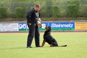 Eine Deutsche Meisterschaft für Hunde findet in Rottweil statt. Foto: ADRK Foto: Schwarzwälder-Bote