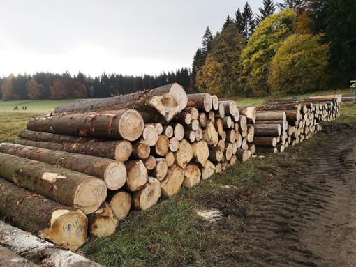 Die Holzpreise sind gestiegen, und so steigen auch die Erlöse durch den Holzverkauf aus dem Straßberger Gemeindewald. Foto: Schweizer