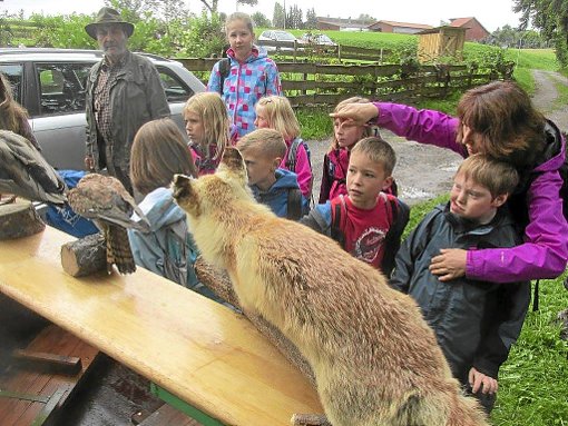 Beim Rastplatz Pfingstbrunnen sind für die Kinder Tierpräparate ausgestellt worden. Foto: Strobel Foto: Schwarzwälder-Bote