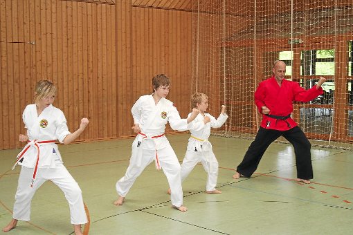 Beim SV Haigerloch wird jetzt auch der Kampfsport Tai Jitsu Karate angeboten. Foto: Reiband Foto: Schwarzwälder-Bote