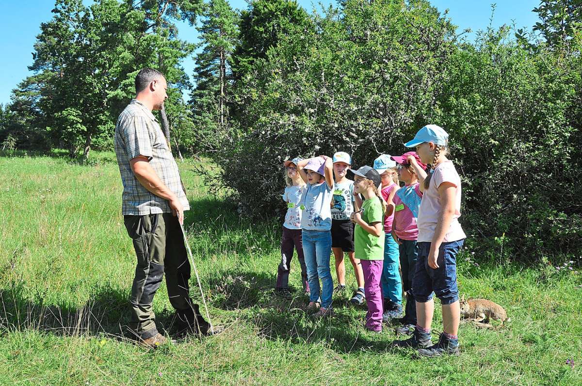 Die Kinder erfuhren viel über die Flora und Fauna auf dem Gültlinger Kapf.