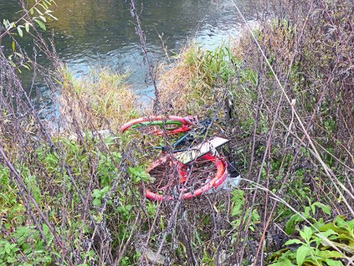 Unbekannte haben einen Teil des Kunst-Fahrrads in die Uferböschung des Neckars geworfen.  Foto: Ganswind