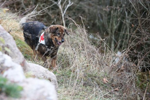 AUch mit Mantrailer-Hunden war nach der Vermissten gesucht worden. (Symbolfoto) Foto: Marc Eich