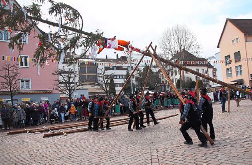 In bewährter Routine stellten die Narrenbaumsetzer den Furtwanger Narrenbaum auf dem Marktplatz. Foto: Heimpel