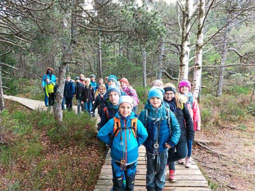 Schüler der dritten Klasse der Naturpark-Schule Schonach entdecken die Natur in ihrer Region, so auch das Hochmoorgebiet am Blindensee.Foto: Schule Foto: Schwarzwälder Bote