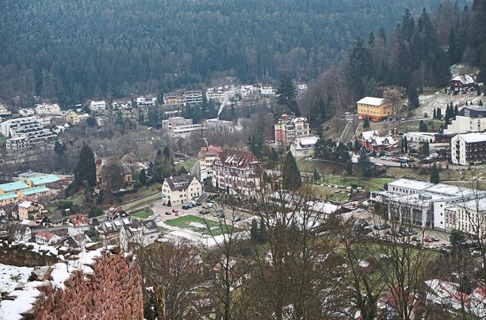Stadtwald von Bad Liebenzell: Tannen werden zukünftig Probleme bekommen