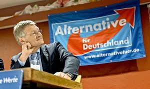Jörg Meuthen sagt, seine Partei habe nichts mit dem Extrablatt zu tun. Foto: dpa
