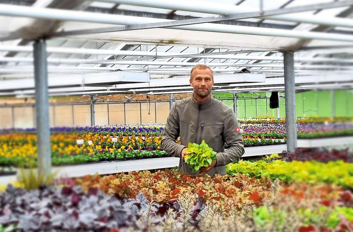 Gärtnermeister Christoph Köberle kann aus einer riesigen Auswahl an selbstproduzierten Pflanzen für die Herbstbepflanzung auf den Friedhöfen schöpfen.