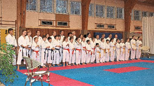 Zahlreiche Sportler nahmen an den Vereinsmeisterschaften teil. Foto: JKA-Karate Dojo Calw Foto: Schwarzwälder-Bote