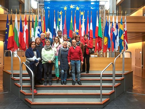 Die Gruppe der katholischen Kirchengemeinde beim Besuch im Europaparlament. Foto: Kirchengemeinde Foto: Schwarzwälder Bote