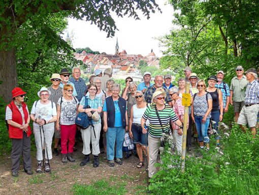 Die Mittwochswanderer des Albvereins Epfendorf informieren sich bei einem Ausflug zum Untere Bohrhaus in Rottweil über die Salzförderung. Foto: Mei Foto: Schwarzwälder Bote